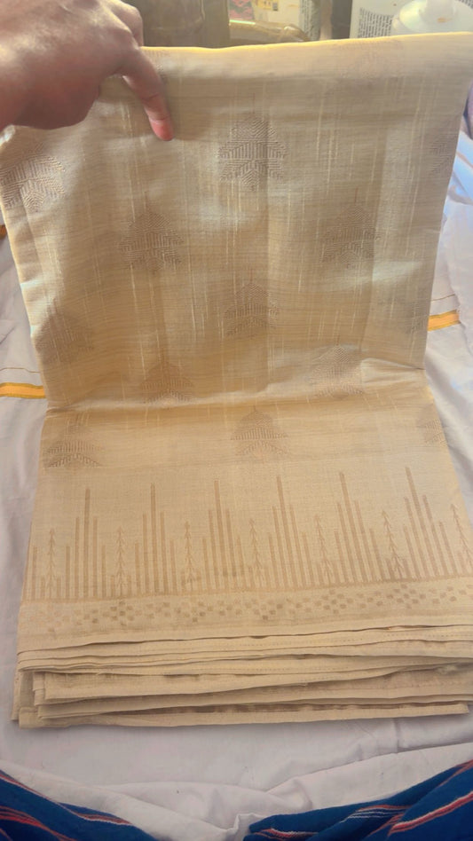 Golden Saree